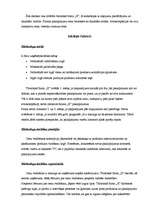 Eseja 'Cenu veidošanas faktori uzņēmumā "X"', 1.