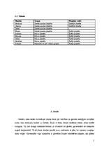 Referāts 'Saules sistēmas planētas un dzīvība uz tām', 5.