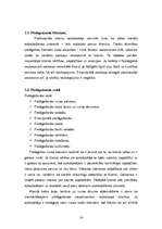 Referāts 'Klientu apkalpošana', 14.