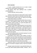 Referāts 'Mārketings un klientu segmentācija. Teorija un prakse', 1.