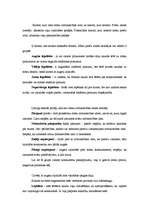 Referāts 'Mārketings un klientu segmentācija. Teorija un prakse', 5.