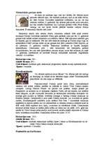 Referāts 'Francija', 12.