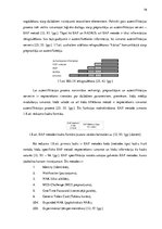 Diplomdarbs '802.1X tīkla autentifikācijas drošības risinājums un iespējams risinājuma ievieš', 19.