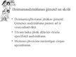 Prezentācija 'Dzimumaudzināšana.Tās risināšanas iespējas un to ietekmējošie faktori', 12.