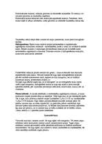 Referāts 'Tauki', 3.