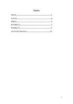 Referāts 'Senās Ķīnas māksla un arhitektūra', 2.