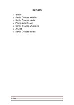 Referāts 'Pilsētbūvniecība Senajā Divupē', 2.