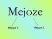 Prezentācija 'Mejoze', 1.