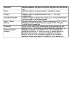 Konspekts 'Vēstures jēdzieni pamatskolai', 2.