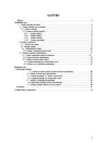 Referāts 'Līzings', 2.