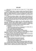 Referāts 'Līzings', 3.