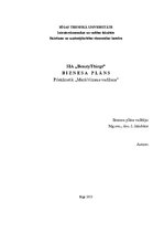 Biznesa plāns 'Biznesa plāns', 1.