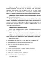 Biznesa plāns 'Biznesa plāns', 5.