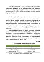 Biznesa plāns 'Biznesa plāns', 8.