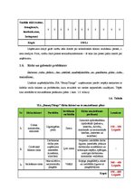 Biznesa plāns 'Biznesa plāns', 14.