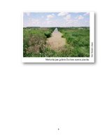 Konspekts 'Durbes ezera piesārņojums', 6.