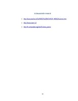 Konspekts 'Durbes ezera piesārņojums', 11.