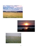 Konspekts 'Durbes ezera piesārņojums', 13.