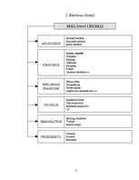 Prezentācija 'Vēstures motīvi preses reklāmās', 20.