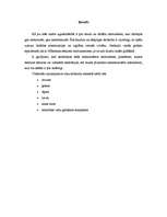 Referāts 'Nemehanizētie darba instrumenti', 2.