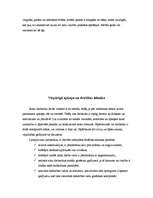 Referāts 'Nemehanizētie darba instrumenti', 8.