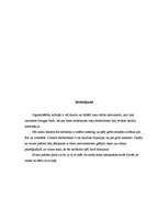 Referāts 'Nemehanizētie darba instrumenti', 9.