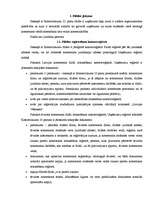 Referāts 'Komerctiesības. Filiāles un sabiedrības', 3.