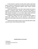 Referāts 'Komerctiesības. Filiāles un sabiedrības', 6.