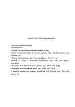 Referāts 'Atbrīvošana no kriminālatbildības', 19.