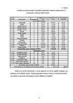 Biznesa plāns 'Celtniecības un apdares darbu uzņēmuma biznesa plāns', 19.