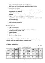 Biznesa plāns 'Celtniecības un apdares darbu uzņēmuma biznesa plāns', 21.