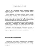 Referāts 'Sniega un ledus sanesumi, to sekas', 8.