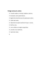 Referāts 'Sniega un ledus sanesumi, to sekas', 10.