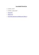 Referāts 'Sniega un ledus sanesumi, to sekas', 13.