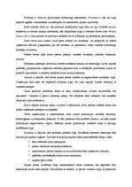 Konspekts 'Preces dzīves cikla posmi', 1.