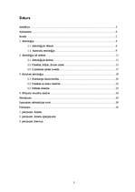 Referāts 'Astroloģijas popularitāte', 2.