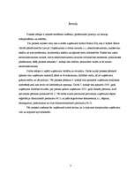 Prakses atskaite 'SIA "Robert Bosch"', 3.