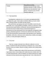 Prakses atskaite 'SIA "Robert Bosch"', 7.