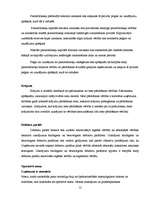 Prakses atskaite 'SIA "Robert Bosch"', 12.