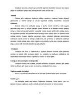 Prakses atskaite 'SIA "Robert Bosch"', 13.