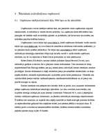 Prakses atskaite 'SIA "Robert Bosch"', 22.