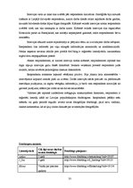 Diplomdarbs 'Fotogrāfija kā radošs un efektīvs indivīdu komunikācijas veids mūsdienu sabiedrī', 33.