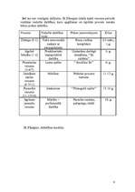 Referāts 'Es, persona, personība', 9.