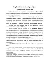 Diplomdarbs 'Apdrošināšanas sektora loma un attīstība Latvijā', 10.