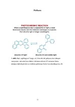 Referāts 'Briļļu fotohromās lēcas', 13.