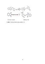 Referāts 'Briļļu fotohromās lēcas', 14.