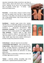 Konspekts 'Ādas slimības, kas skar plaukstas', 2.