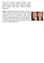 Konspekts 'Ādas slimības, kas skar plaukstas', 6.