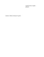 Konspekts 'Jaunlatvieši. Jaunā Strāva. 1095.gads', 2.