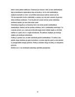 Referāts 'Preiļu notekūdeņu attīrīšanas iekārtu energoefektivitātes paaugstināšana', 19.